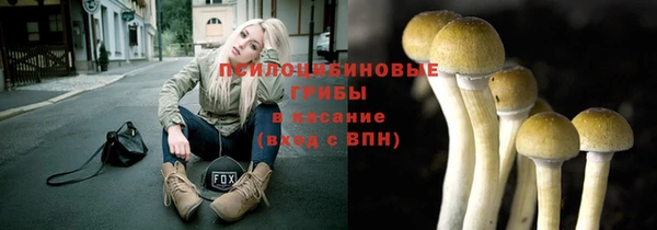 ECSTASY Балабаново